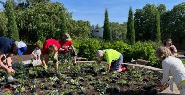 Westminster volunteers plant a pollinator garden